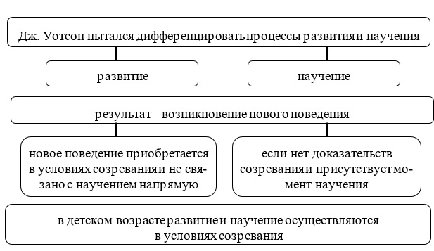 Дифференциация процессов развития и научения 