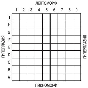 Координатная сетка К. Конрада для определения типа телосложения.